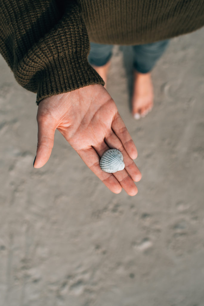 St. Peter Ording Muscheln