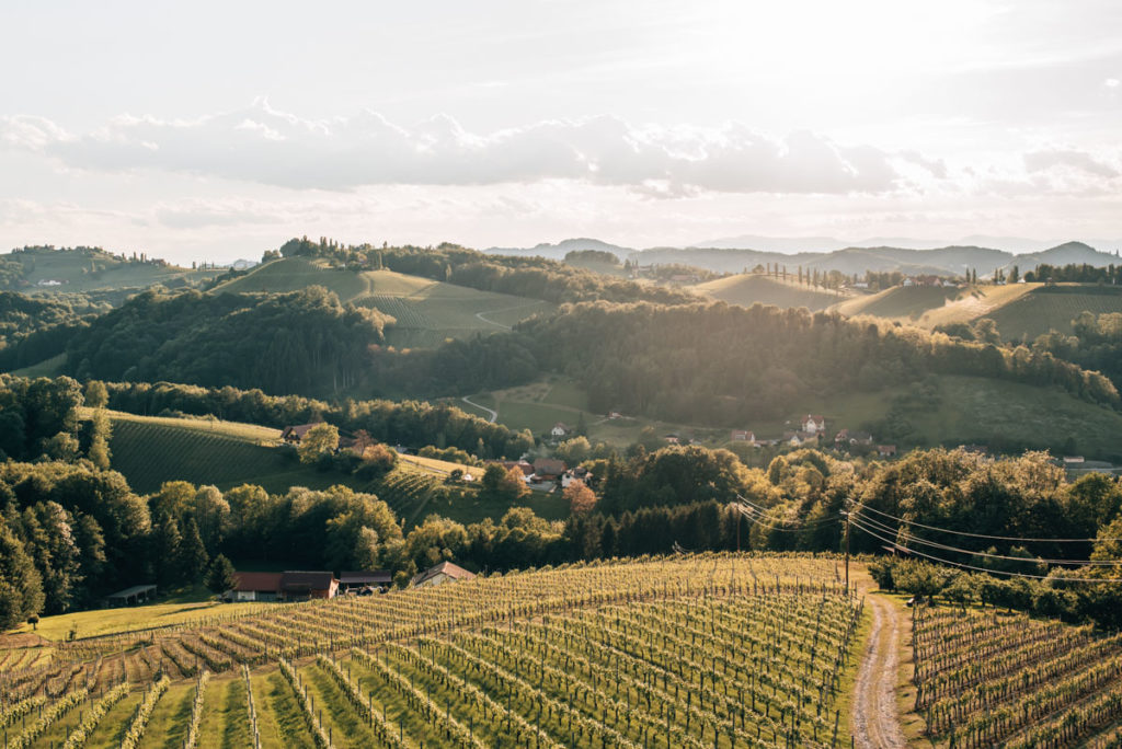Südsteiermark Tipps