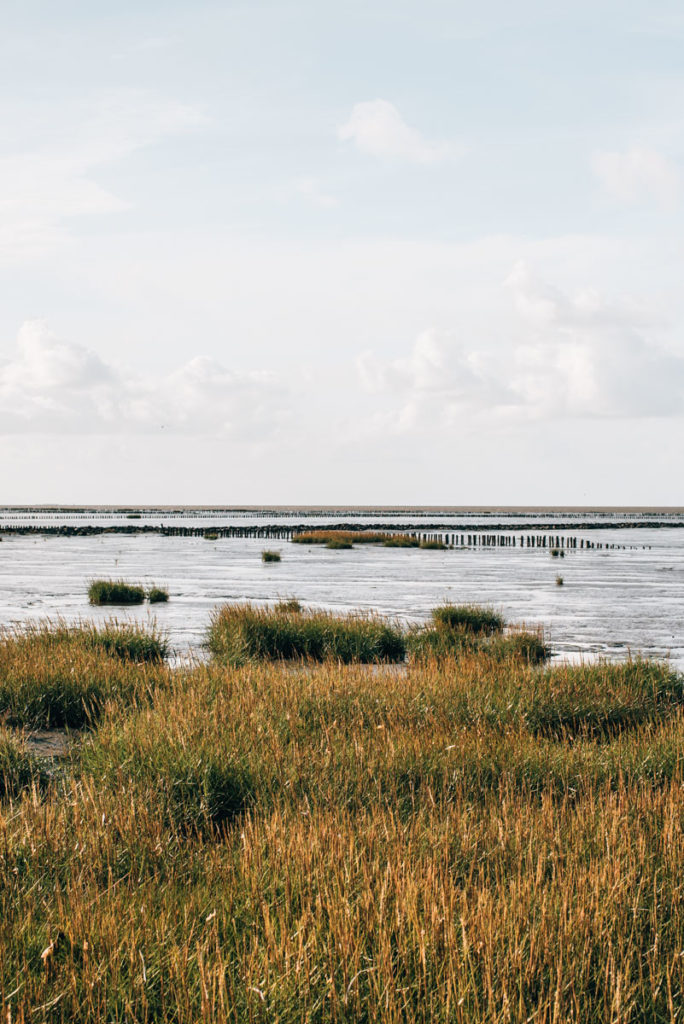 Trischendamm Nordsee