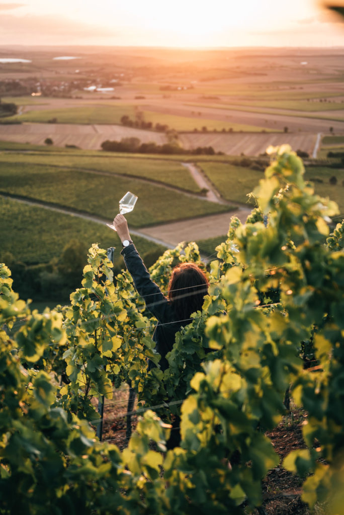 Hütttenheim Weinberge