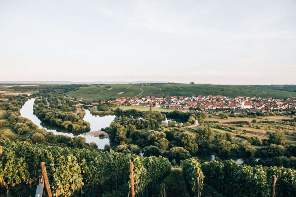 Vogelsburg Ausblick