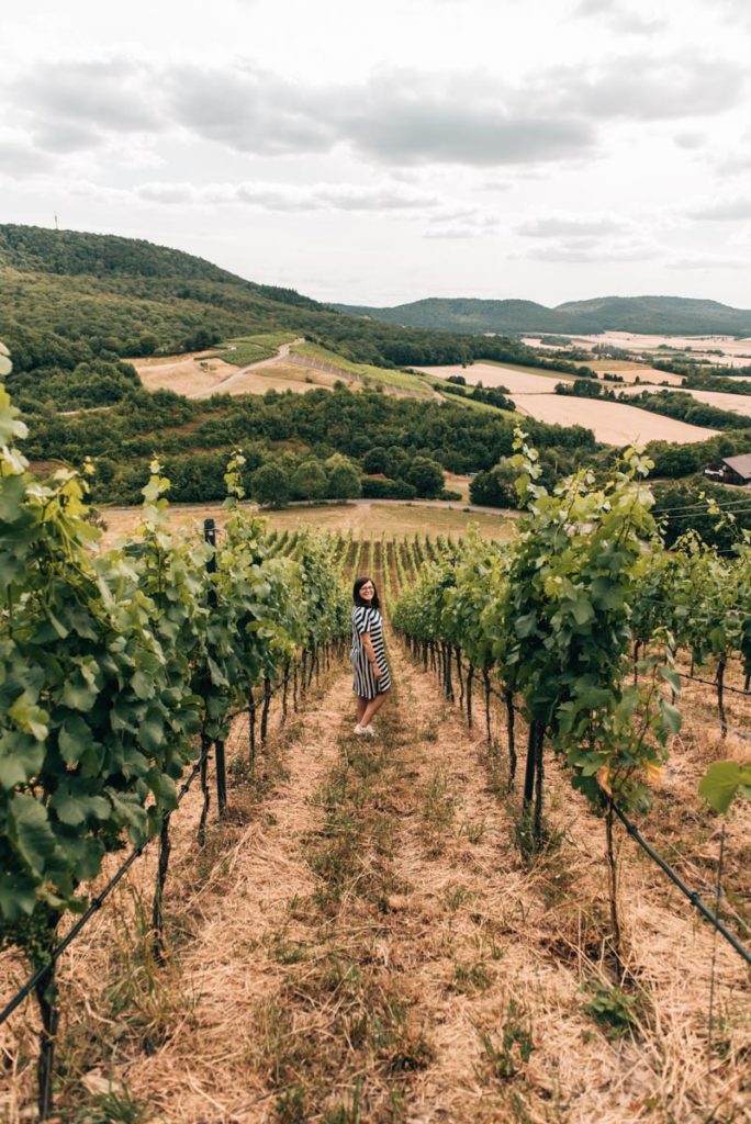 Weinberge Zeil am Main
