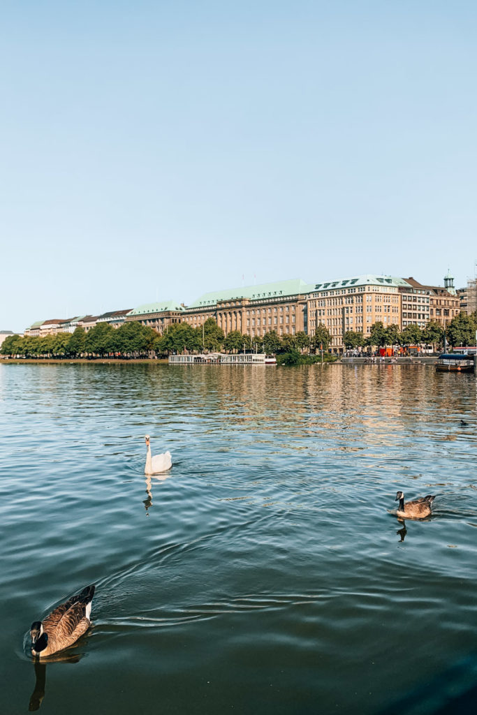 Alsterrundfahrt Hamburg