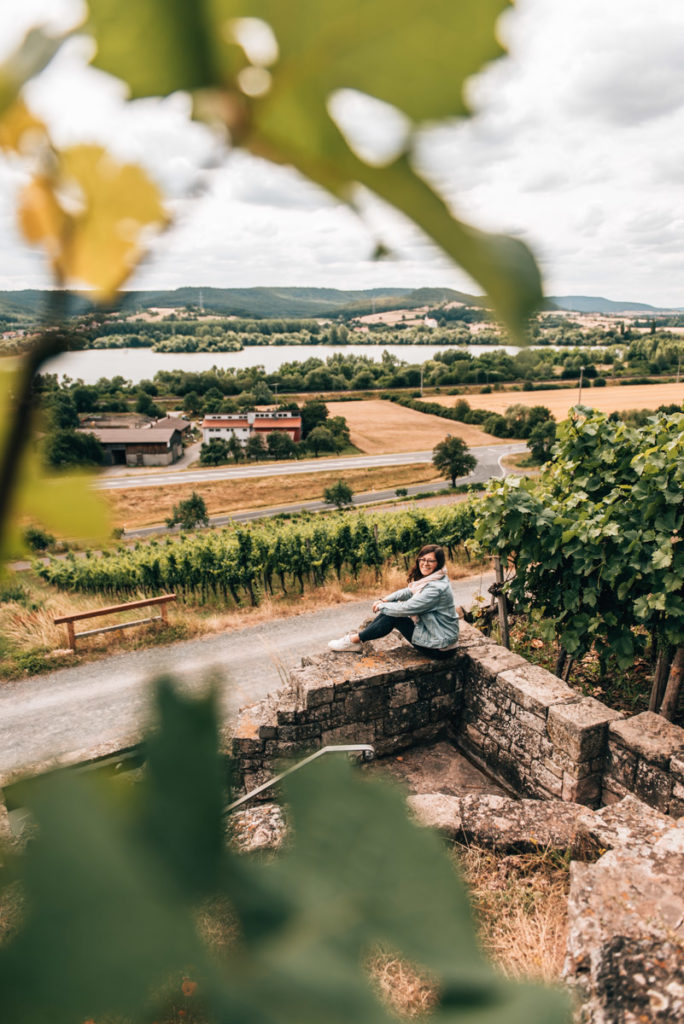 Winzertreppen Franken Weinland