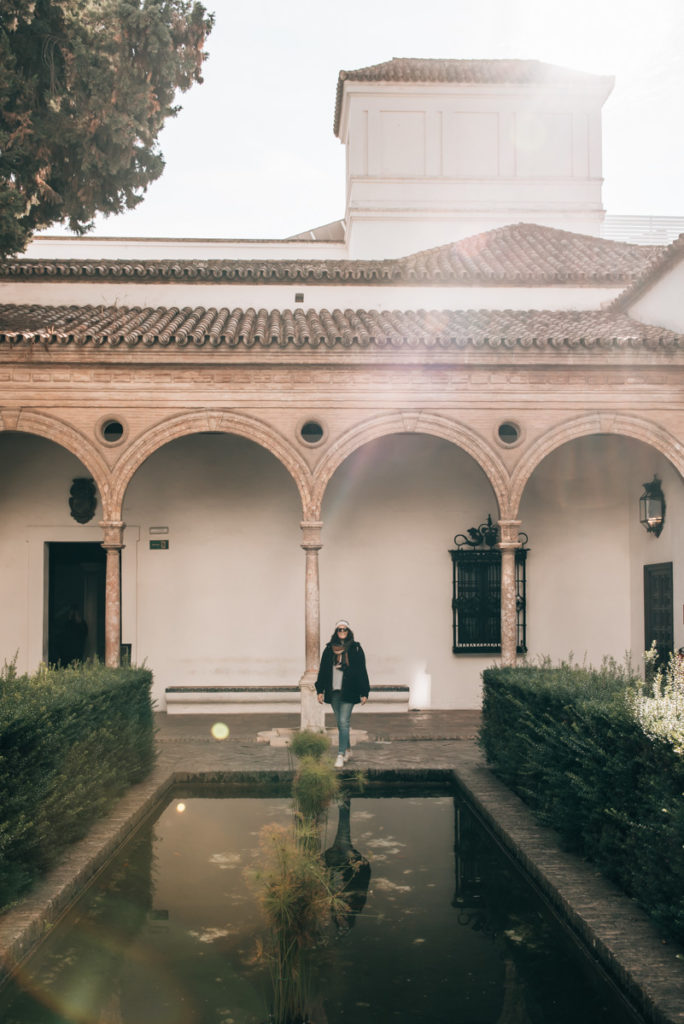 Real Alcazar Entry