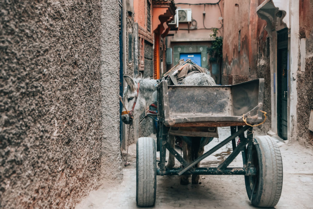 Medina Marrakesch Tipps