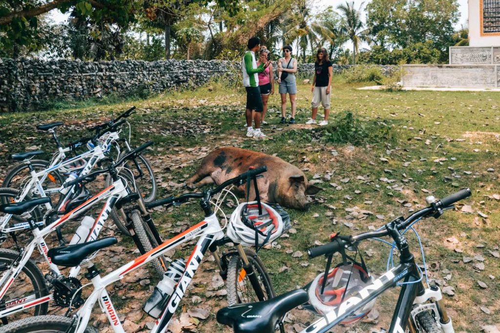 Battambang Fahrradtour Tipps