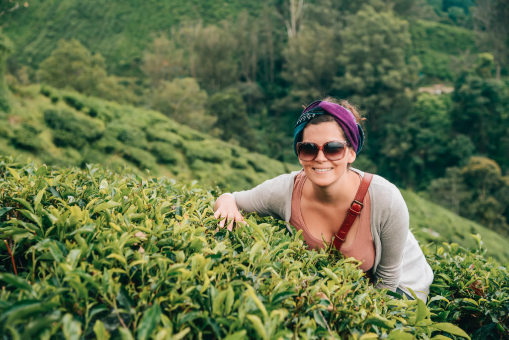 Cameron Highlands Tipps