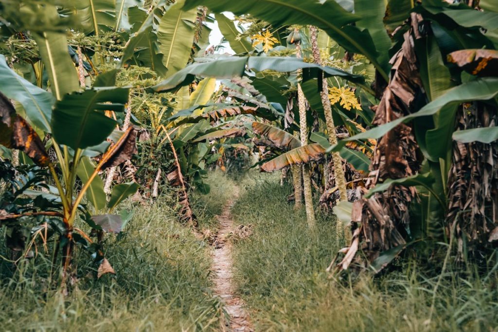 Mekong Delta Vietnam