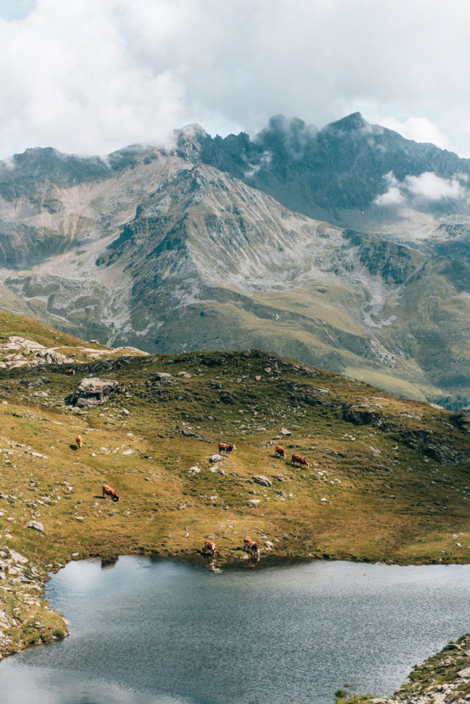 Neualplseen Osttirol