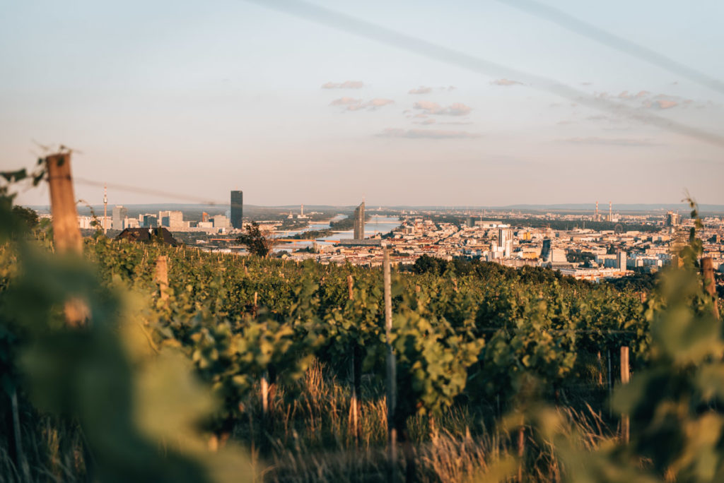 Nussberg Aussicht Wien