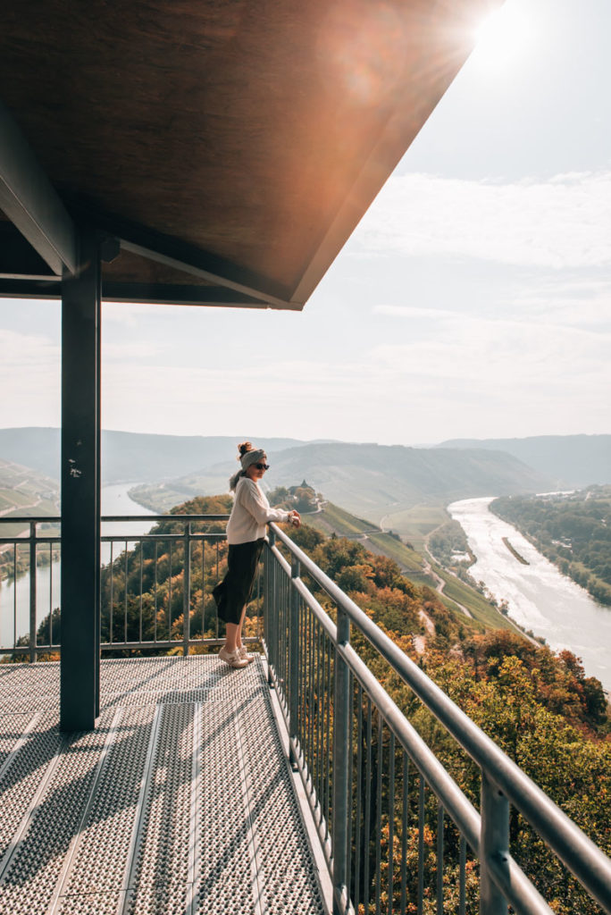 Prinzenkopfturm Ausblick