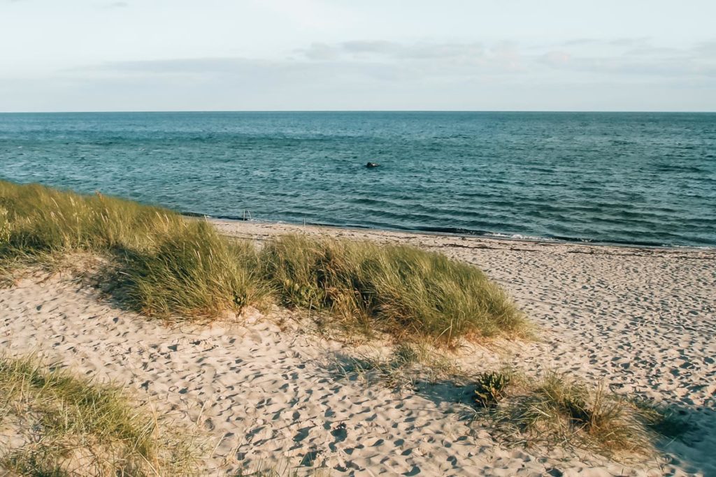 Kopenhagen Strand Ausflug