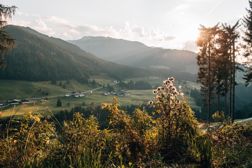Wiesenweg Kartitsch