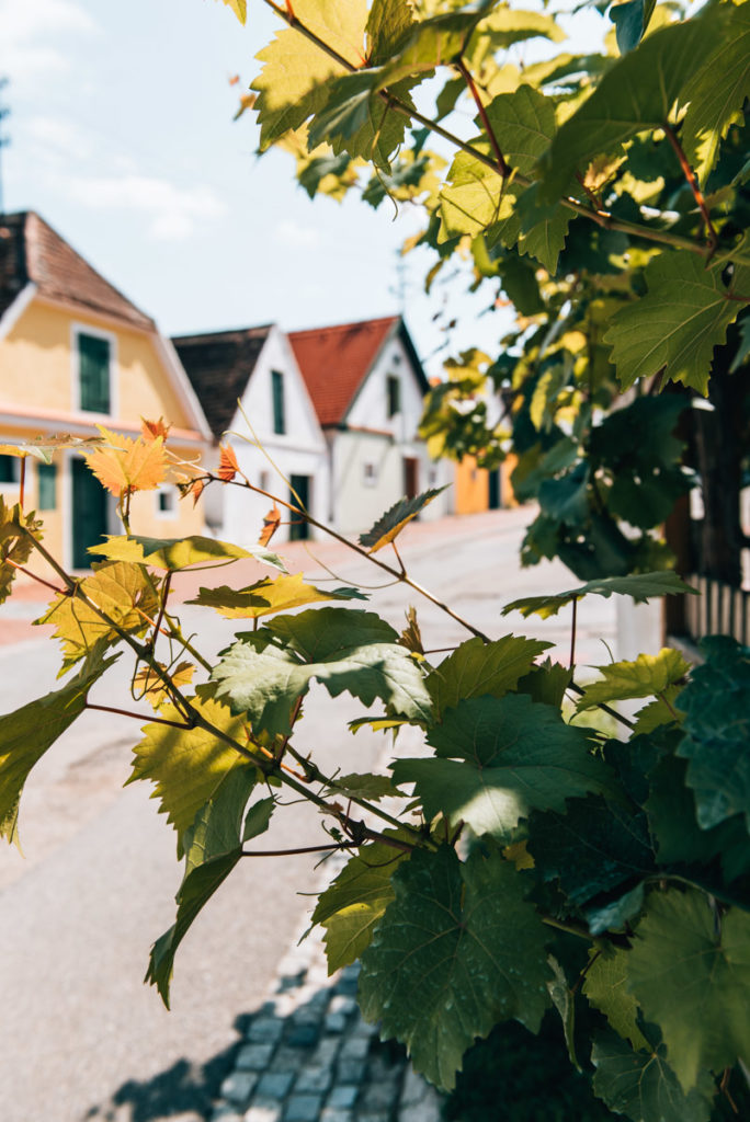 Falkenstein Kellergasse
