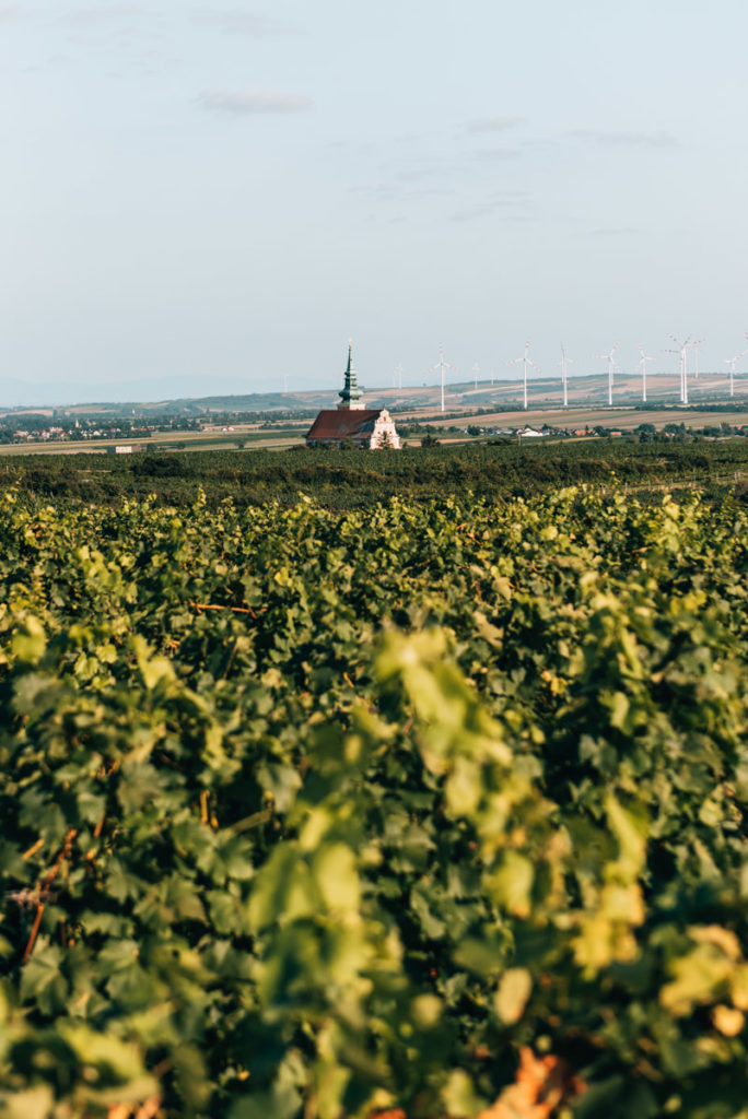 Poysdorf Sehenswürdigkeiten