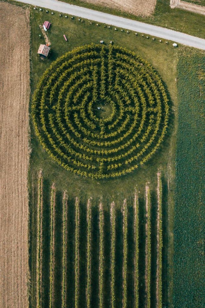 Weingartenlabyrinth