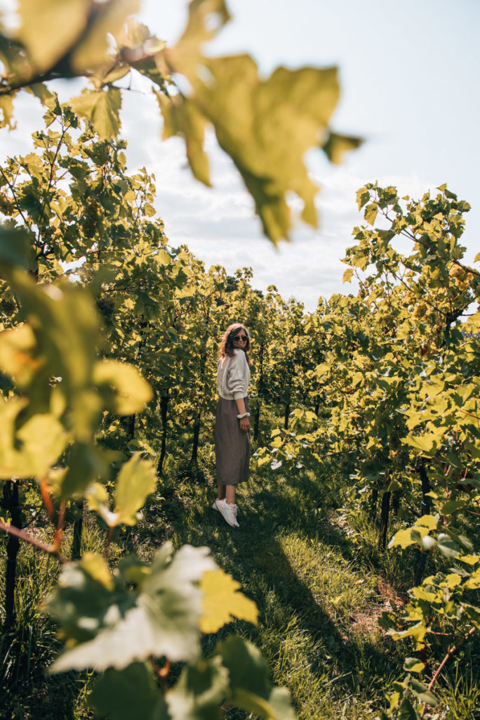 Weinlabyrinth Falkenstein