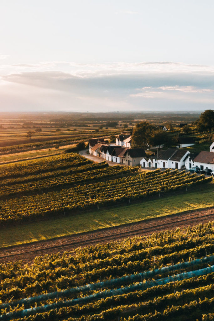 Weinviertel Ausflugsziele