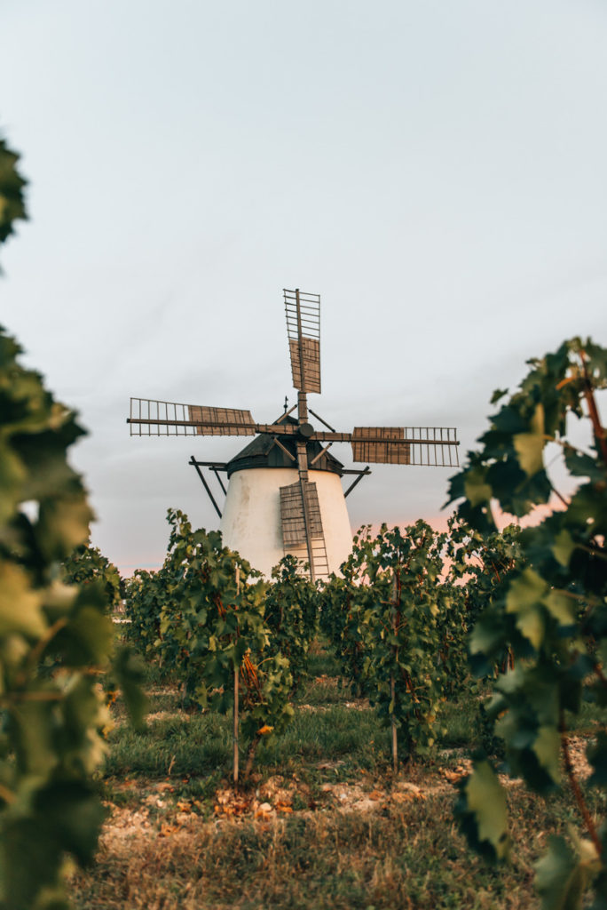 Weinviertel Reiseblog