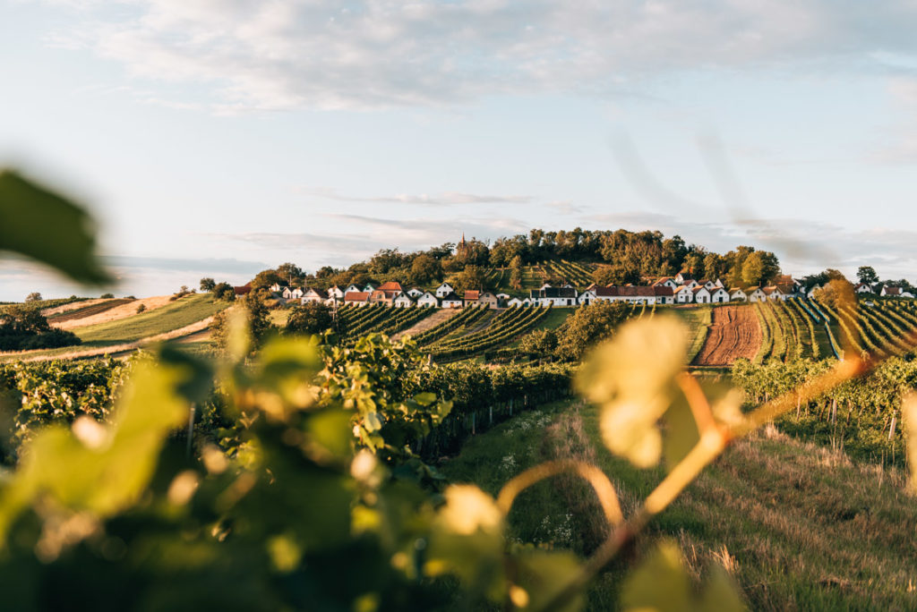 Weinviertel Tipps