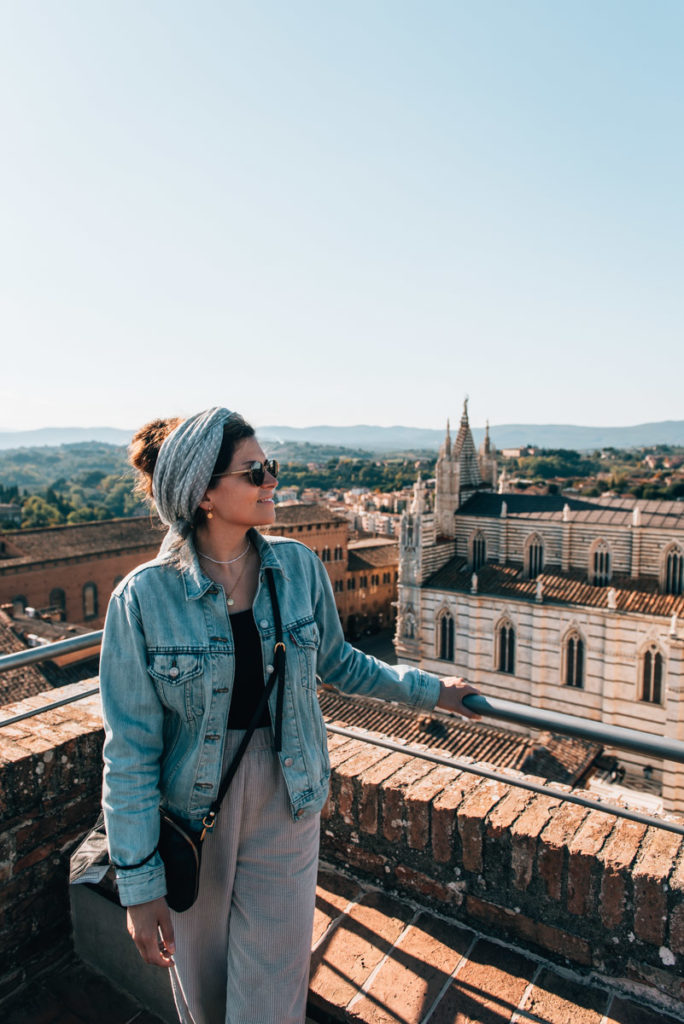 Facciatone Siena