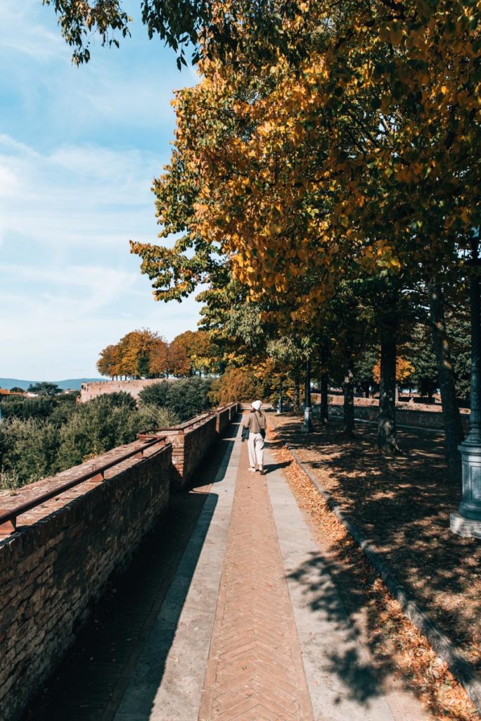 Fortezza Medicea