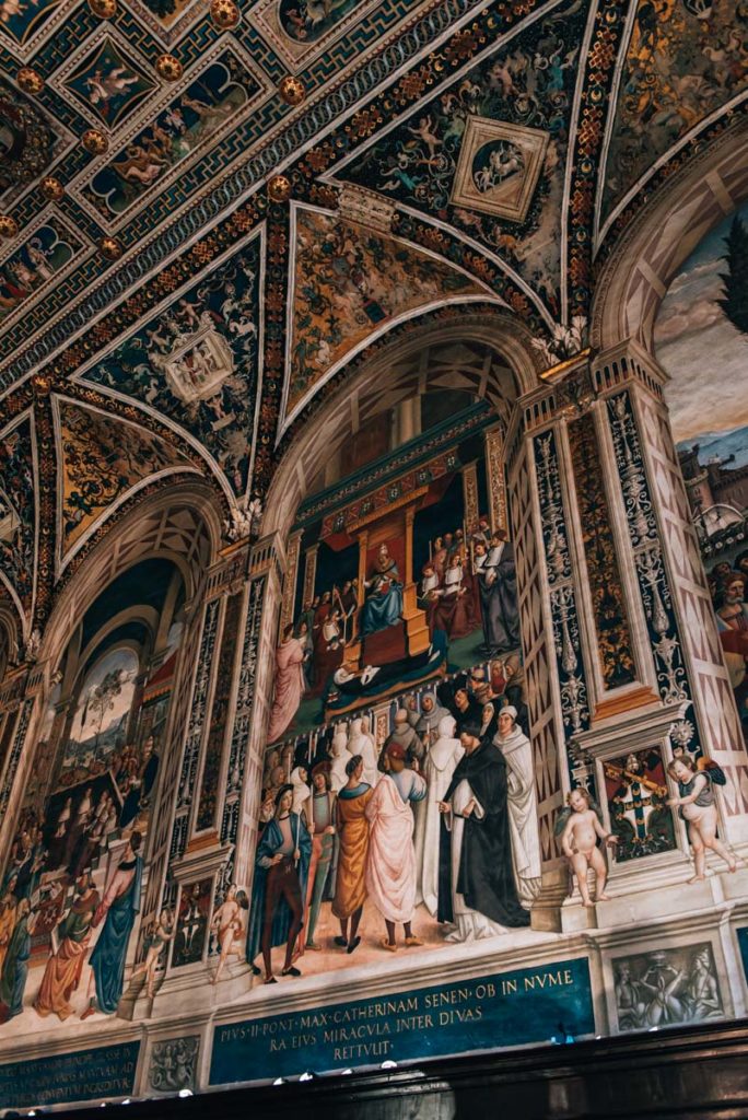 Siena Dom Library
