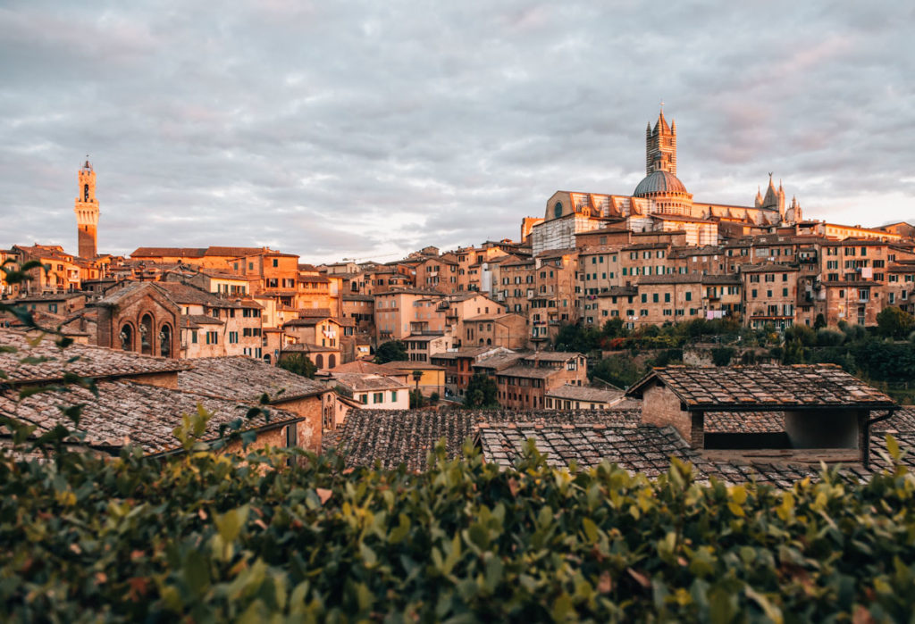 Siena Travel Guide