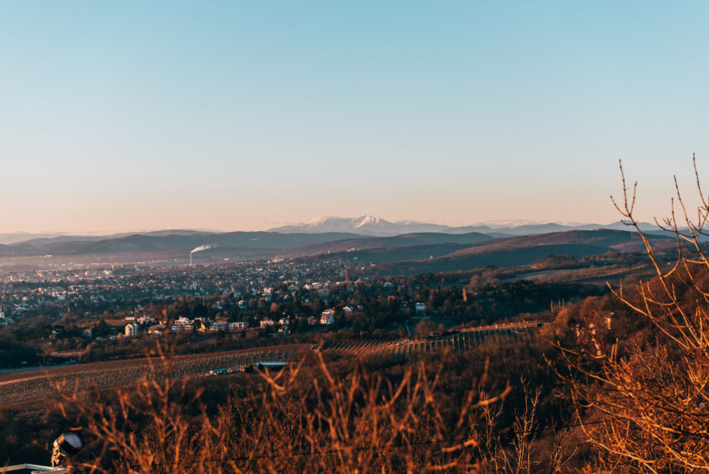 Wien Leopoldsberg Ausblick