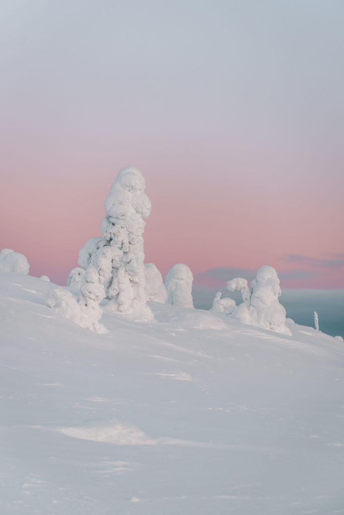 Posio Finnland Blog
