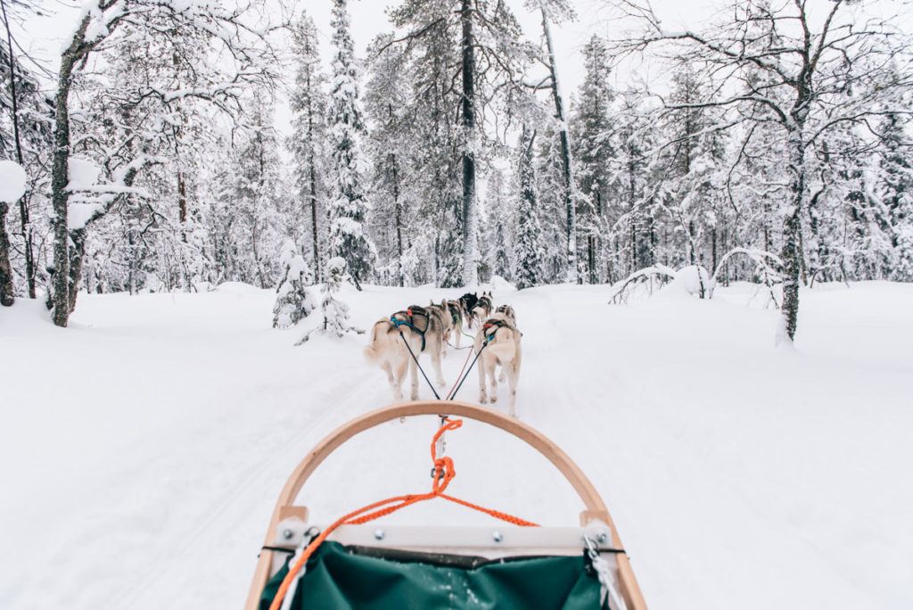 Salla Husky Safari