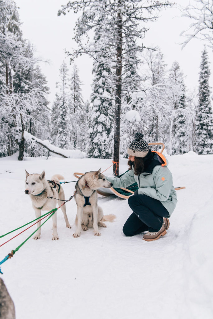 Salla Husky Schlittenfahrt
