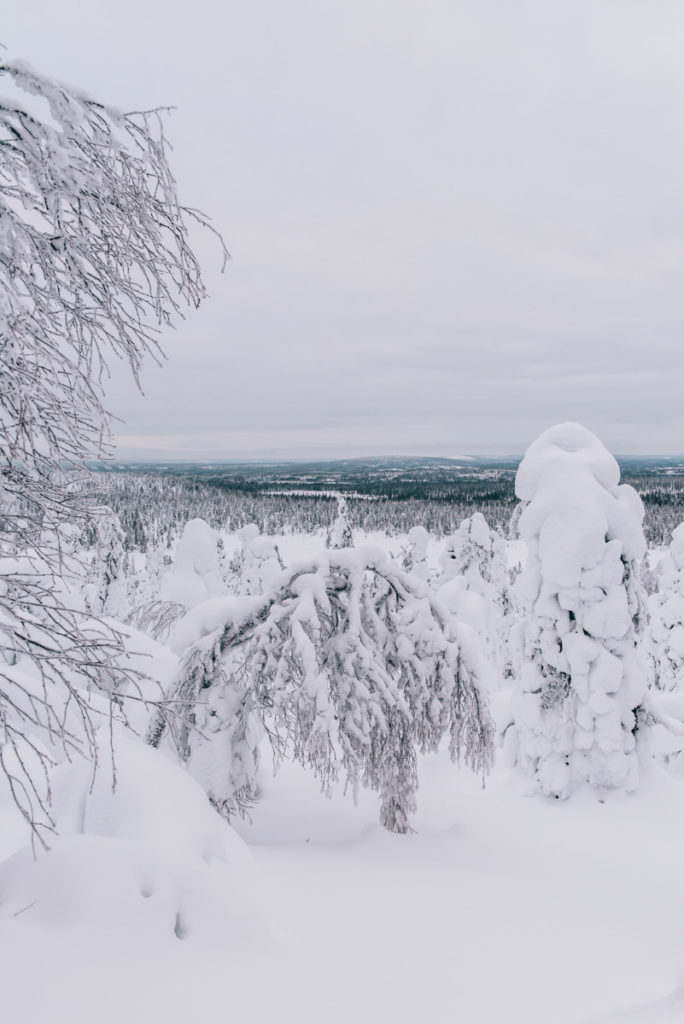 Salla Ruuhitunturi