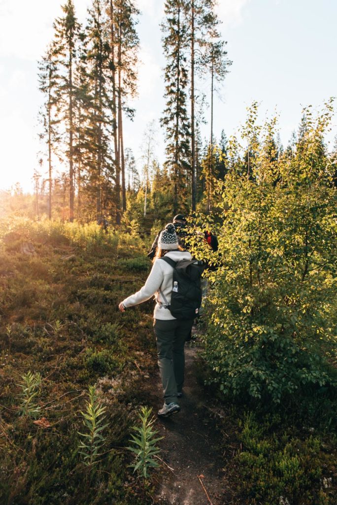 Finnland Bärenbeobachtung