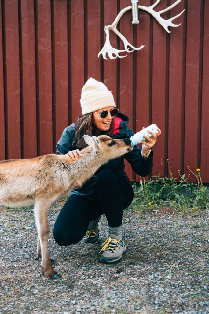 Kujala Reindeer Farm