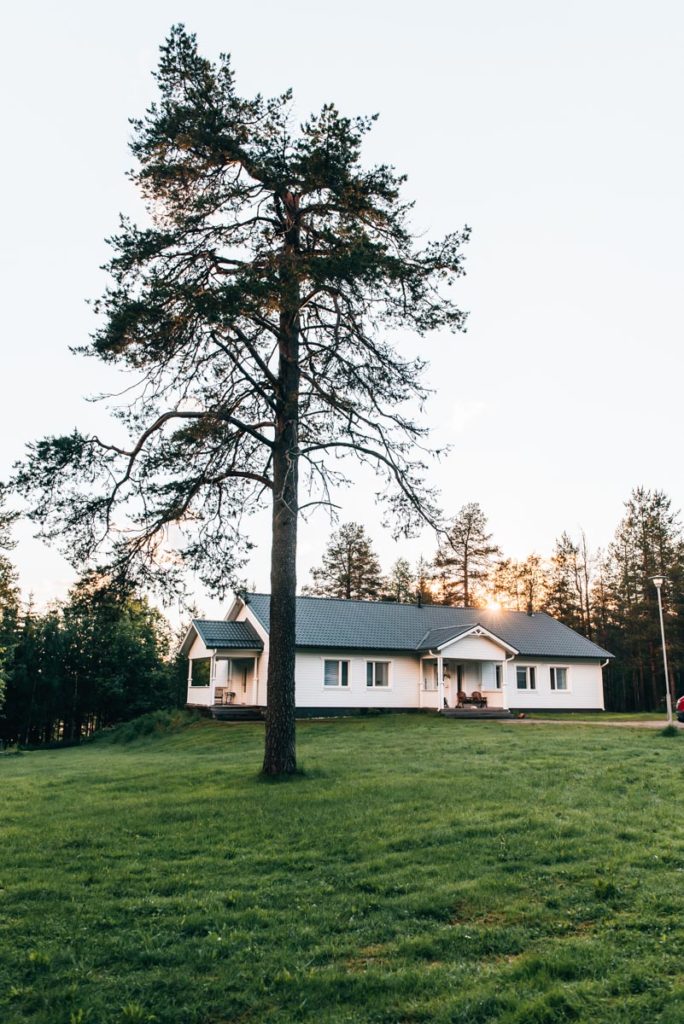 Martinselkonen