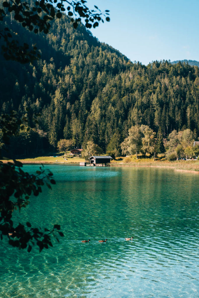 Hintersteiner See Schwimmen