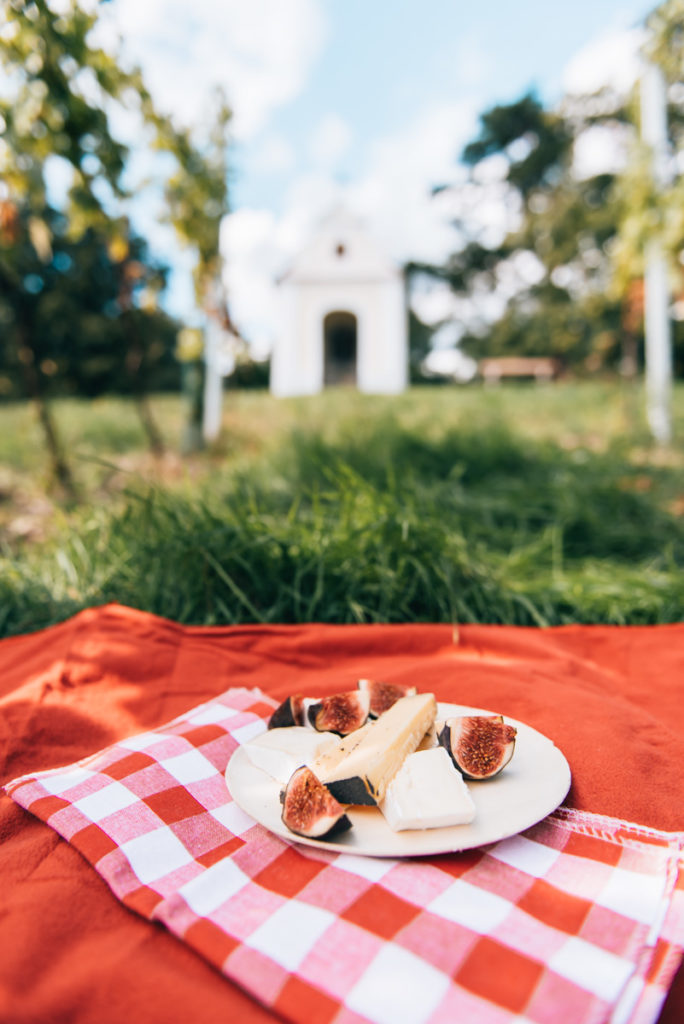 Picknick Weinberge