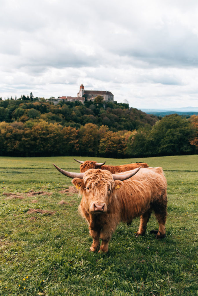 Südburgenland Tipps Sehenswürdigkeiten