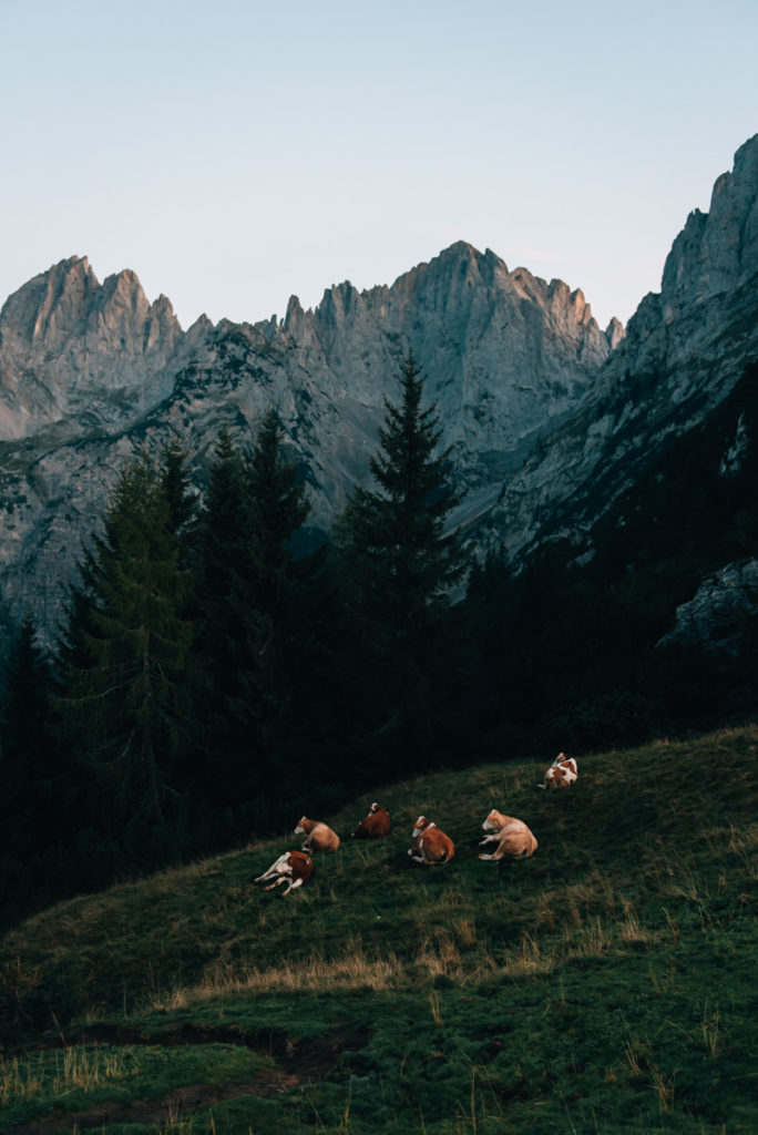 Wilder Kaiser Urlaub