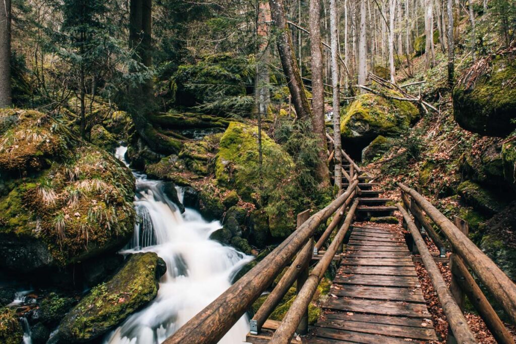 Ysperklamm Waldviertel
