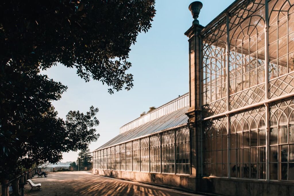 Coimbra Botanischer Garten