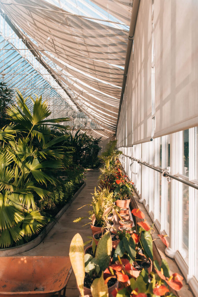 Coimbra Botanical Garden