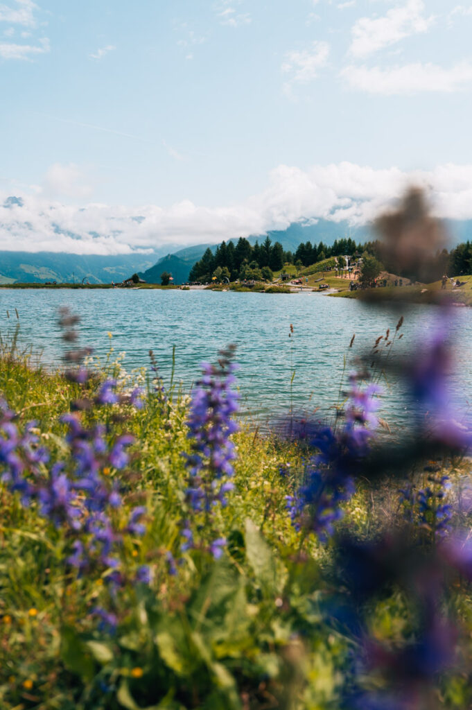 Fiss Wolfsee Sommer