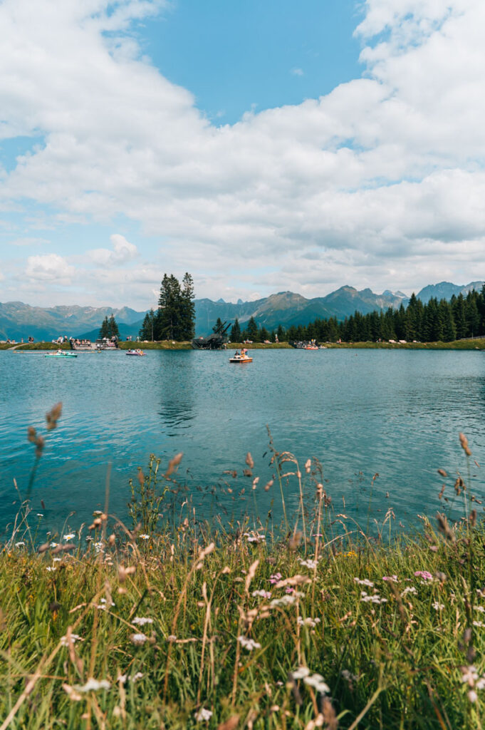 Högsee