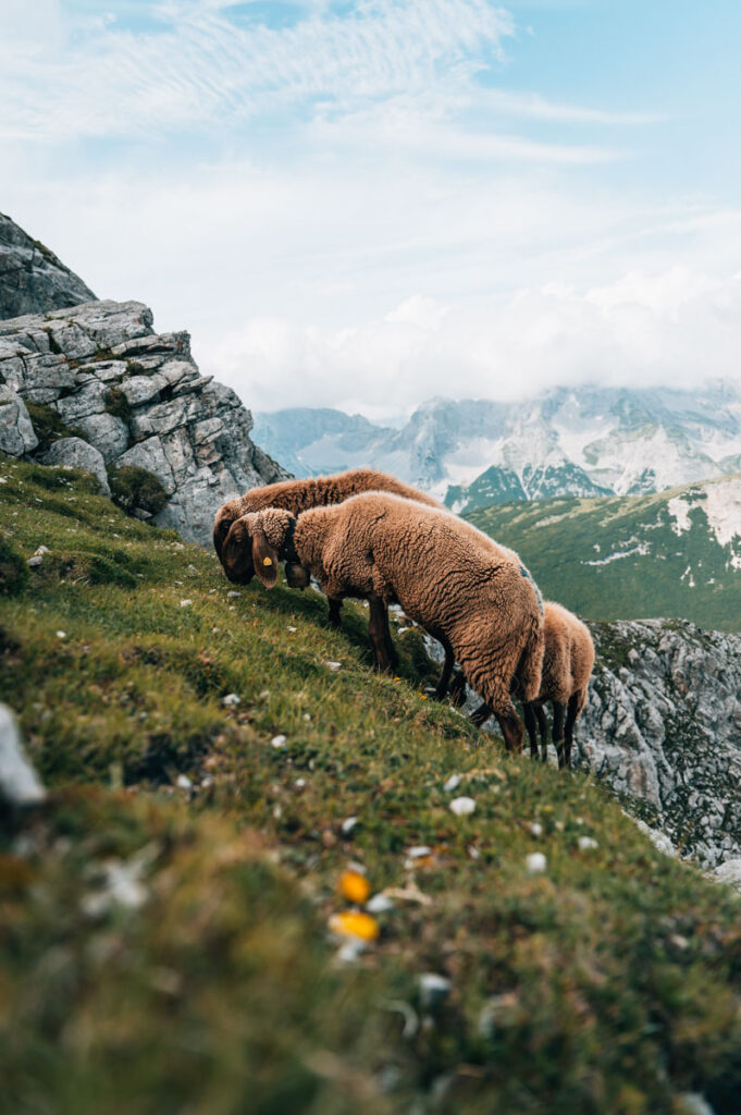 Nordkette Innsbruck Sehenswürdigkeiten
