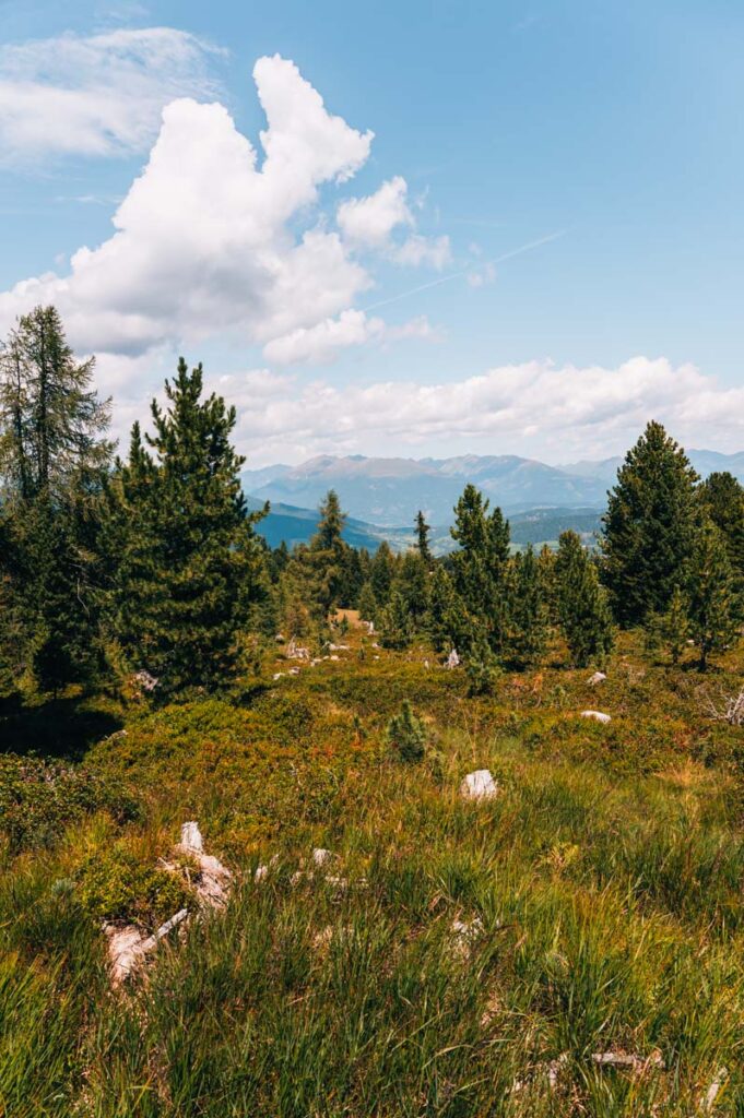 Kreischberg Wandern