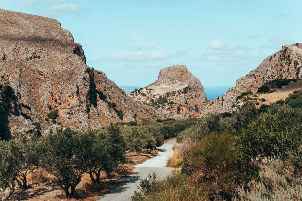 Biolea Kreta