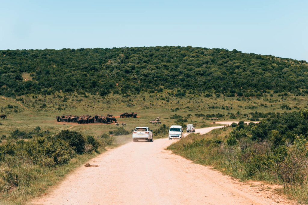 Addo Südafrika Autofahren